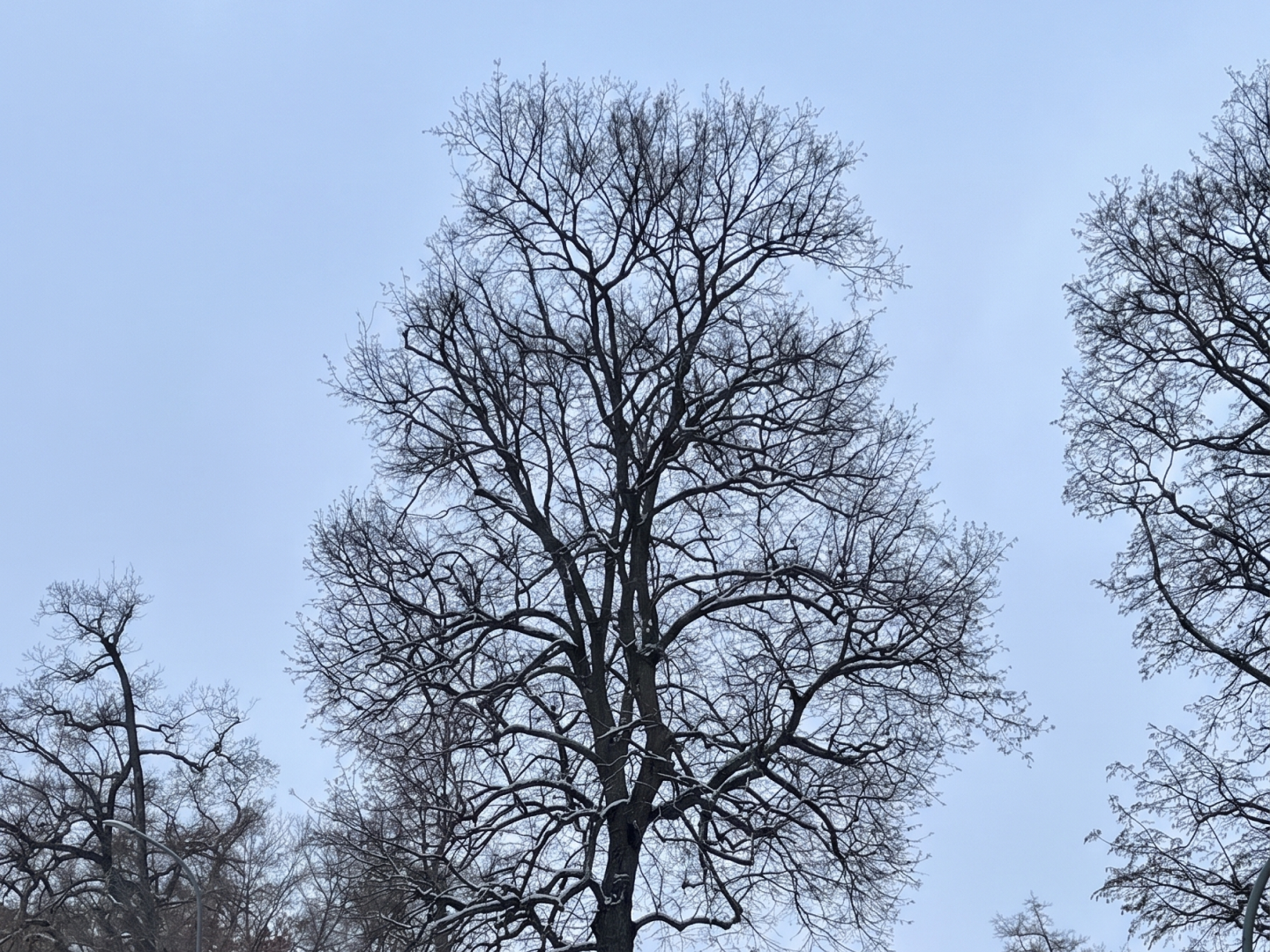 Bild von Endzustand
